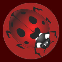 Ladybug Stickers Red Ladybugs Art Stickers stickers