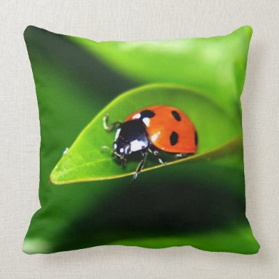 Ladybug Throw Pillows