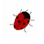 Ladybug Tops