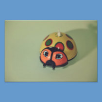 Ladybug toy photography