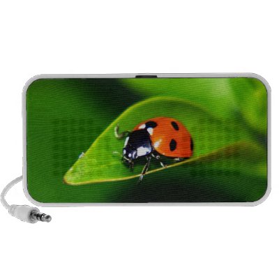 Ladybug Travelling Speakers