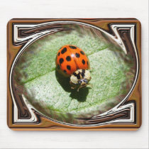 Ladybug with frame ~ mousepad