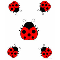 Ladybug Womens T-Shirt