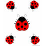 Ladybug Womens T-Shirt