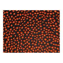 Ladybugs (7) - how many?? posters