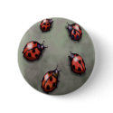 Ladybugs buttons