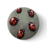 Ladybugs