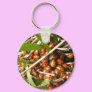 Ladybugs (Coccinellidae)