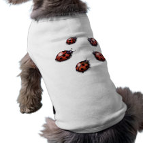 Ladybugs pet clothing