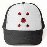 Ladybugs Hat