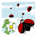 ladybugs in flight posters