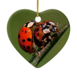 Ladybugs In Love Christmas Ornaments
