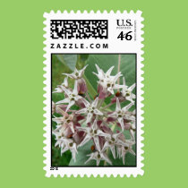 Ladybugs in the Milkweed stamps