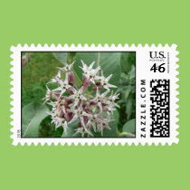 Ladybugs in the Milkweed stamps