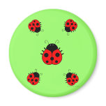 Ladybugs Magnet