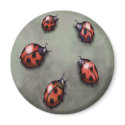 Ladybugs magnets