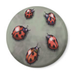 Ladybugs