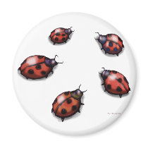 Ladybugs magnets