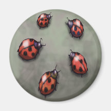 Ladybugs Magnet