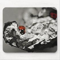 Ladybugs mousemat mousepads