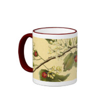 Ladybugs mugs