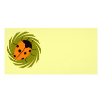 Ladybugs Photo Cards
