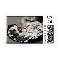 Ladybugs postage stamps stamps