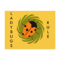 Ladybugs postcards by BugsbyMaria Ladybugs postcards