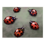 Ladybugs Postcards