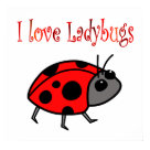 postcard - Show your love for ladybugs with this cute ladybug poster.
