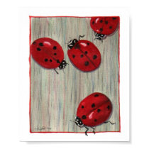 Ladybugs! posters
