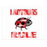 LADYBUGS RULE POST CARD