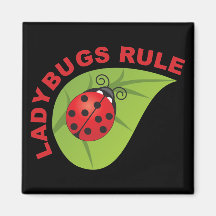 Ladybugs Rule Refrigerator Magnets