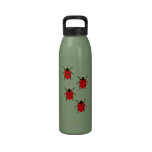 Ladybugs Water Bottle