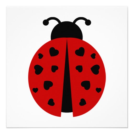 ladybugz. custom announcements