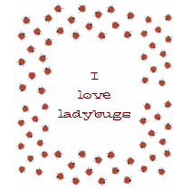 Ladybugz Pattern t-shirts