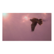 ladyhawk business cards