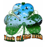 Lady's Luck Of The Irish T Shirt With Shamrock