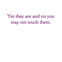 Lady's "No You May Not" t-shirts