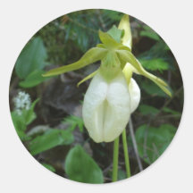Ladyslipper stickers