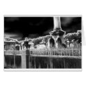 Lafayette Cemetery cards