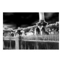 Lafayette Cemetery, New Orleans posters