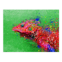 Lagarto Salpicado postcards