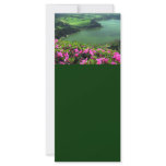 Lagoa das Furnas - Açores Rack Card Template