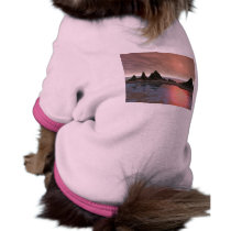 lagoon1 pet clothing by ukwazywabbit lagoon1 pet clothing