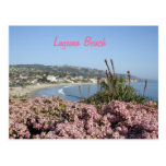 Laguna Beach flowers postcard