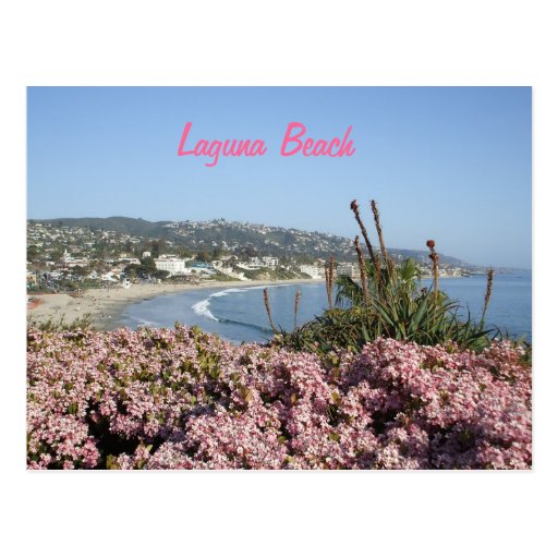Laguna Beach flowers postcard Zazzle