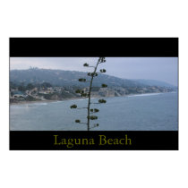 Laguna Beach posters