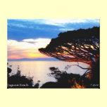 Laguna Beach Sunset canvas prints