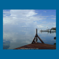 Laguna Madre posters